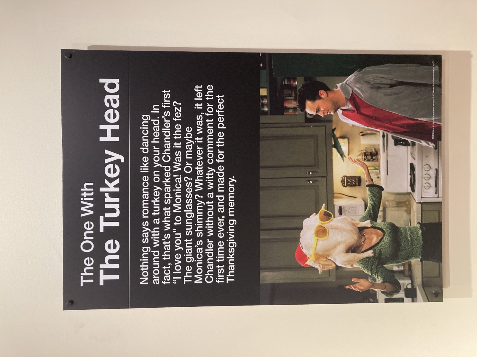 The One With The Turkey Head exhibit placard
