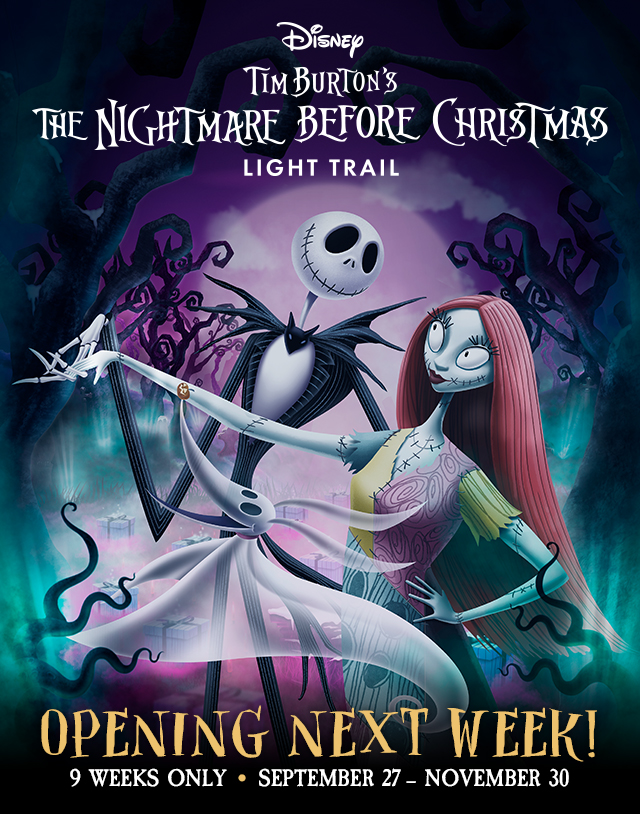Nightmare Before Christmas Light Trail asset